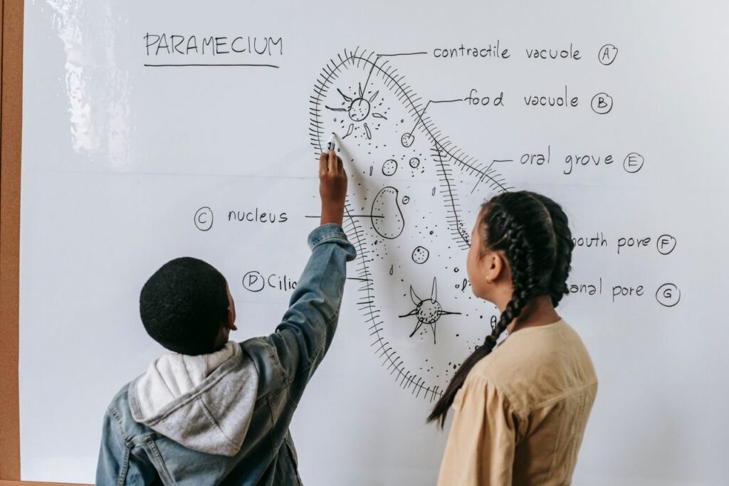 illustrating how to use AI to explain difficult topics.